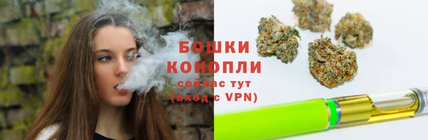 ешки Белокуриха