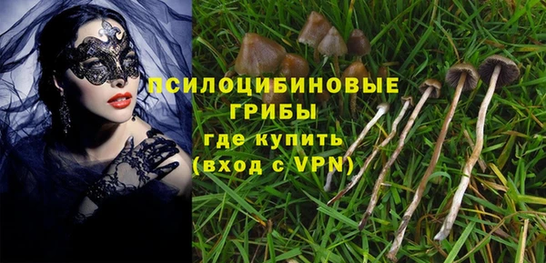ешки Белокуриха